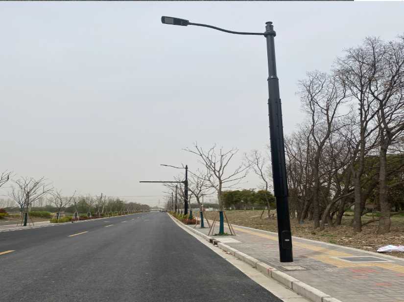 禄丰市上海综合杆 太阳能路灯工程